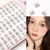 Douyin Wanghong 해바라기 속눈썹 갈색 속눈썹 자연 부드러운 대용량 속눈썹