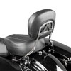 Mofun Street Glide Sissy Bar Passenger Detachable Backrest Compatible with