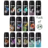 AXE 24 Pack of AXE Body Spray Deodorant Mix Within
