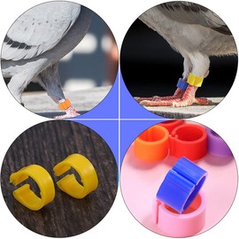 LCOUACEO Pack of 300 Poultry Foot Rings, Diameter 16 mm, Chicken Identification Leg Bands, Multicoloured Chicken Leg Rings, Marking Poultry Ring for Marking Large Chickens, Ducks, Birds, Pigeons