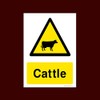 Cattle Plastic Sign - Warning, Farm, Dogs, Agriculture, Cattle, Sheep,