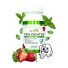 Advanced Oral Probiotics for Teeth & Gums - Mint Chewable