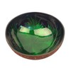 HEMOTON Coconut Bowls Natural Coconut Shell Bowl Decorative Key Storage