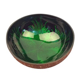 HEMOTON Coconut Bowls Natural Coconut Shell Bowl Decorative Key Storage Bowl Candy Container Nuts Holder (Green)