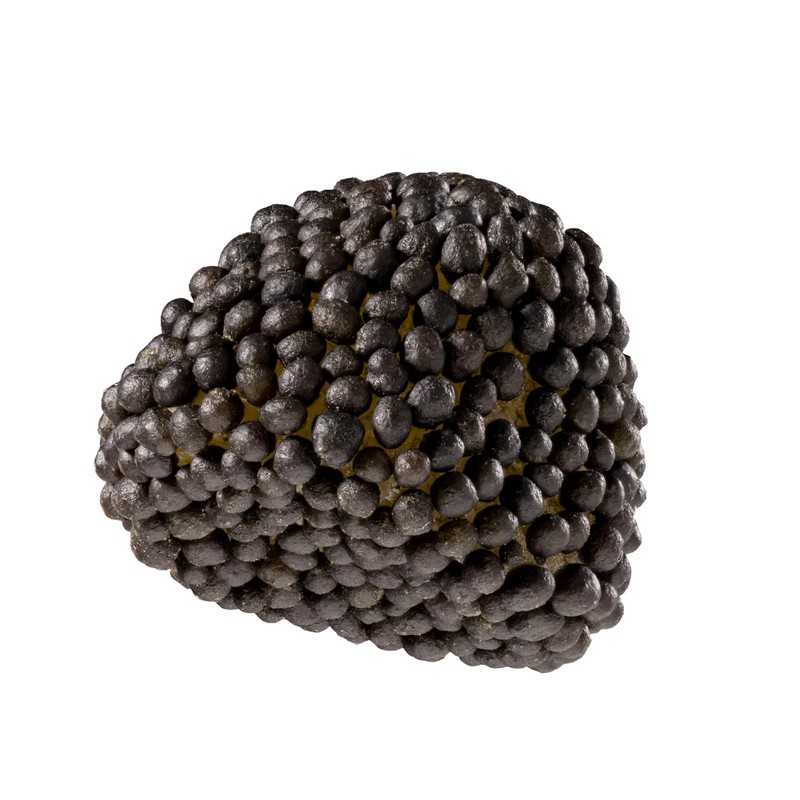 Smarty Stop Gummy Collections (Raspberries and Blackberries), 3 Pound (Pack