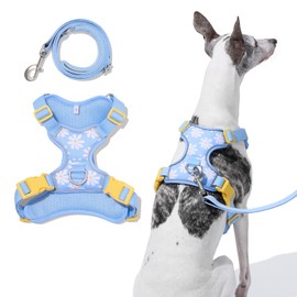 VETRESKA Dog Harness No Pull for Medium-Sized Dog, Adjustable Reflective No Choke Dog Vest, Easy Control & Walk Harness, Pet Vest Harness with Heavy-Duty Anti-Tangle Dog Leash, M