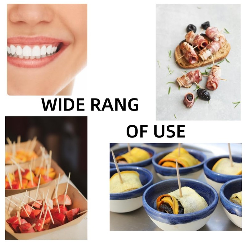 600 Count Bamboo Toothpicks for Teeth Cleaning, Appetizer, Olive, Barbecue,