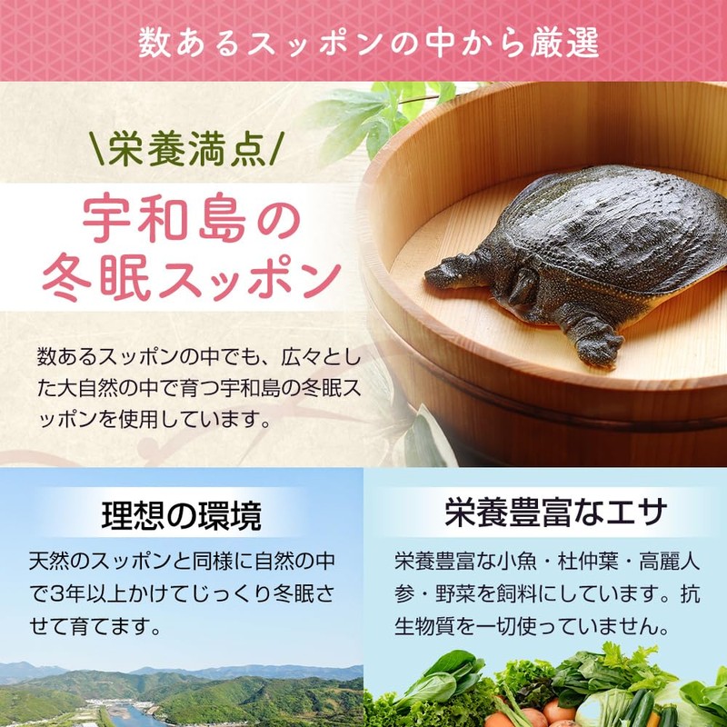 まるごとスッポン満点粒 サプリメント 宇和島産冬眠スッポン100％粉末 アミノ酸 ビタミン ミネラル 国内製造 正規品 60粒 約30日分
