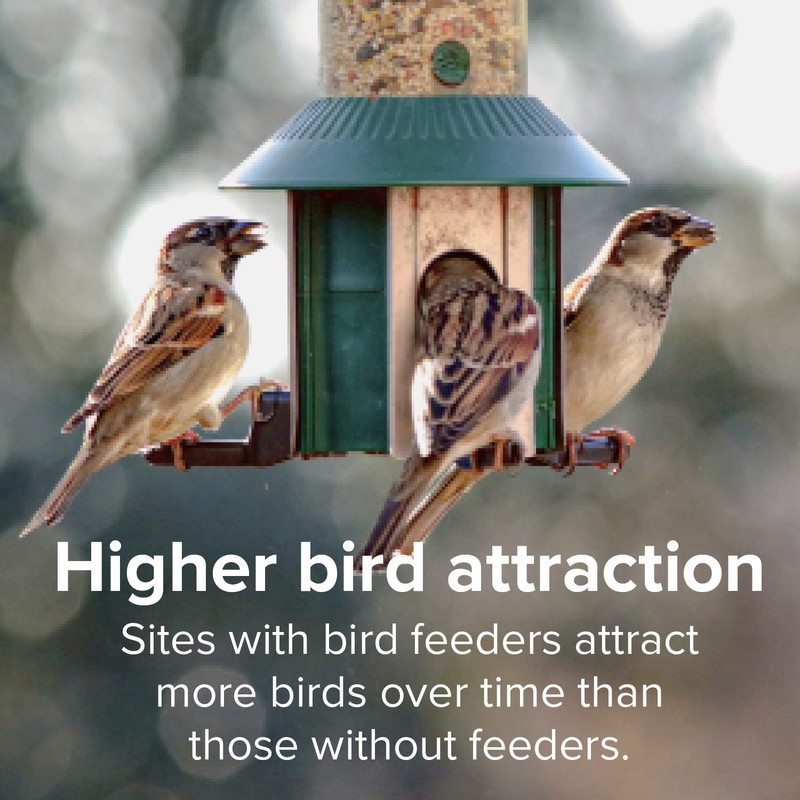 Blue Seal Concerto Premium Wild Bird Seed (20 Pound)