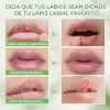Sace Lady Bálsamo Reparador Labios Hidratante Lip Protector