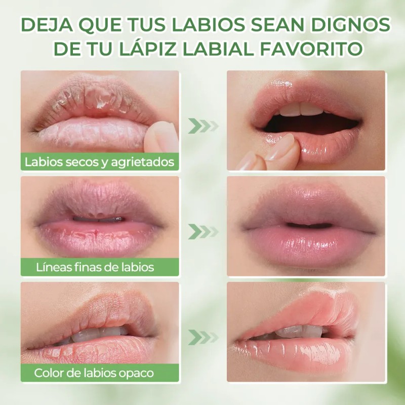 Sace Lady Bálsamo Reparador Labios Hidratante Lip Protector