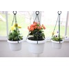 Austin Planter 12 inch Flower Pot with Hanger White Granite