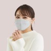 青山通商株式会社 [30枚入り] グディナ 快適3D立体 マスク 個包装 グレー ふつうサイズ 30枚入