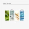 Sérum Facial Babé Depigment+ Ácido Tranexámico Niacinamida 30ml