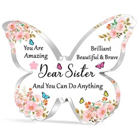 FMCC Sister Gifts from Sister Acrylic Plaque Gifts for Sister Birthday Christmas You Are Amazing You Can Do Anything