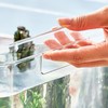 Frameless Clear Aquarium 360 Degree Visibility DIY Decoration Clear Rimless