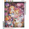 Generic DIYPAINTING 5D Diamond Art Painting by Number Kits Alice