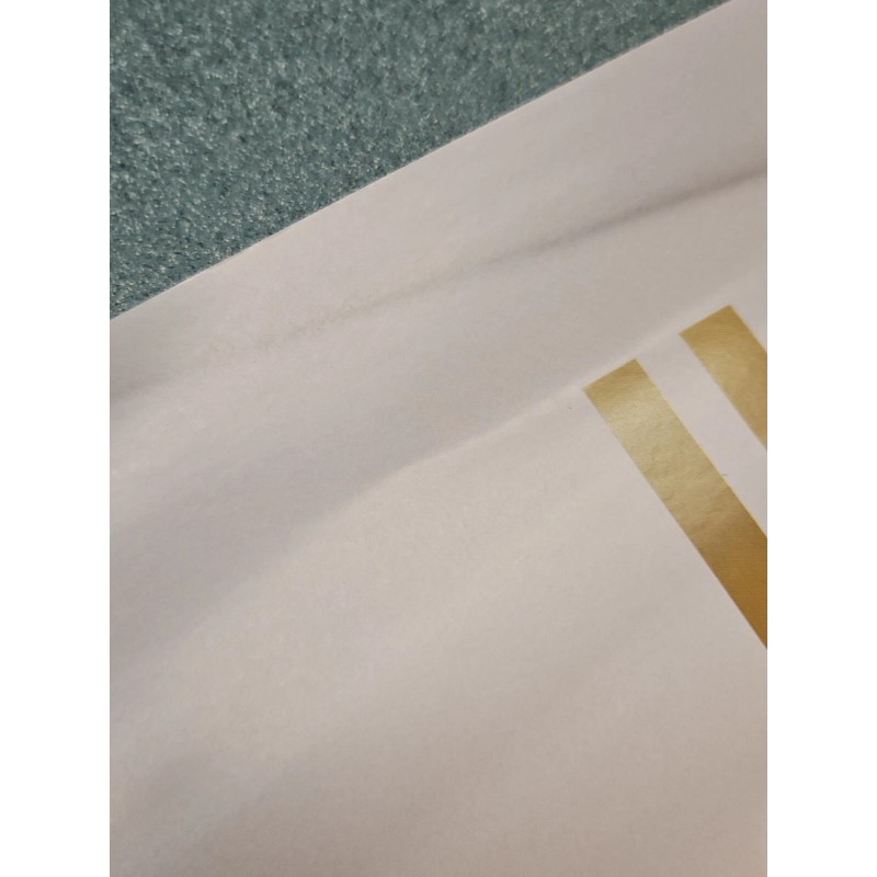 UFC Upcoming Events Promo Poster 295 296 297