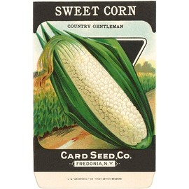 Sweet Corn Seed Packet - Vintage Image