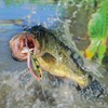 TABKSOLA Whopper Plopper, Surface Bait, Perch Bait, Topwater Bait with