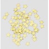 Stargazer Cosmetic Glitter Stars for use on the face -
