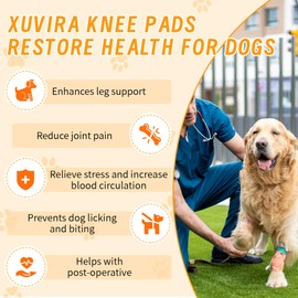 XUVIRA Dog Knee Brace for Acl and Ccl Injuries – Adjustable Support with Metal Stabilizers – Helps with Joint Pain, Surgery Recovery, and Mobility for Front or Hind Legs-L