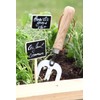 La Cordeline CJNBA2 Bag 5 plants Plaques 7 "x 5