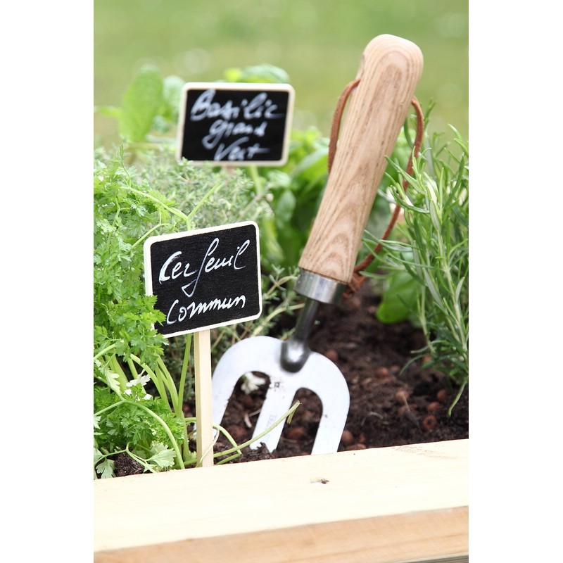 La Cordeline CJNBA2 Bag 5 plants Plaques 7 "x 5