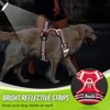 SlowTon Dog Harness for Small Medium Dogs No Pull, Breathable