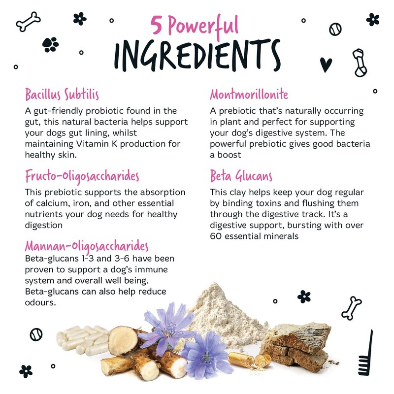 Bugalugs Probiotics For Dogs - Powder, Simple To Add To