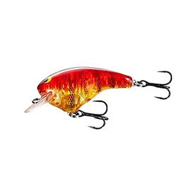 Shimano ZQ-C75T 009 Bantam Macbeth Big Lure, Clear Red Gill