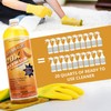 ADVANAGE 20X Multi-Purpose Cleaner Citrus 2 Pack - Manufacturer Direct