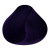 RBL Tinte Rbl Fantasía Purpura Tubo 90gr