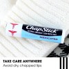 Chapstick Bálsamo Labial Medicado Clásico Y Tubo Protector D