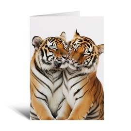 Postcard Prints - Cute Tigers Anniversary Card - Love Card for Husband, Wife, Boyfriend or Girlfriend - Adorable Tiger Pair - Large 5x7 White Card with Brown Kraft Envelope - No Plastic Packaging