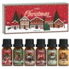 Salubrito Christmas Fragrance Oils Set Winter Scents for Diffuser Candle