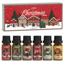 Salubrito Christmas Fragrance Oils Set Winter Scents for Diffuser Candle Making Gift