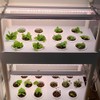 Hydroponics machine lamp set EU