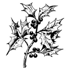 Sweet Grass Stamps HOLLY BRANCH unmounted rubber stamp, Christmas, winter #19