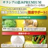 サラシアの恵みPREMIUM サラシア 13500㎎ 菊芋 春ウコン 桑の葉 乳酸菌 ナットウキナーゼ 90粒 30日分