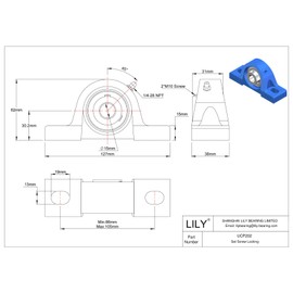 1 Pcs UCP202-10 Pillow Block Bearing, 5/8 inch Bore, 2 Bolt Mounted Bearing Units, Cast Iron Base, Self Aligning, Heavy Duty Industrial Grade