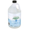 Charlie's Soap Indoor-Outdoor Surface Cleaner with Pump (1 Gallon, 1