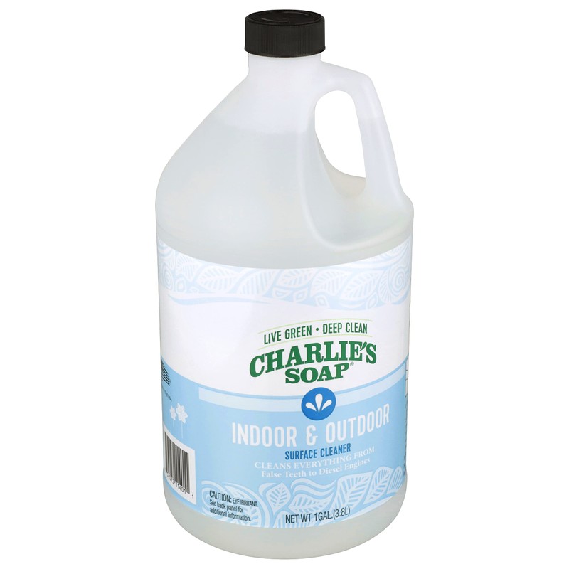 Charlie's Soap Indoor-Outdoor Surface Cleaner with Pump (1 Gallon, 1