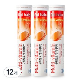 Partner_Reference Guthalo multivitamin orange flavor, 20 tablets, 12 / 구트할로 멀티비타민 오렌지맛 20정 12개