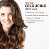 Indus Valley Organic Organic Natural Henna Powder For Hair Dye,