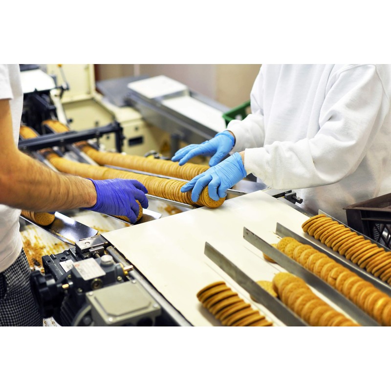 Nitrylex Disposable Nitrile Gloves Powder Free Blue 100 Pcs, Blue,