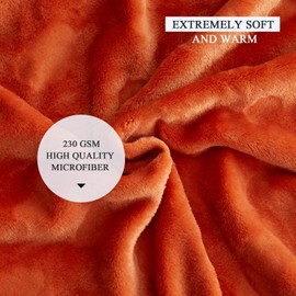 Simple&Opulence Fall Throw Blanket for Couch-Super Soft Fluffy Blankets for Women 50x70 Inches Cozy Lightweight Flannel Fleece Blanket for Home Decor（Cloud