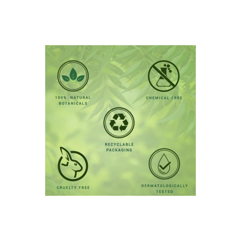 Biotique Bio Neem Margosa Champú y acondicionador anticaspa, 180 ml