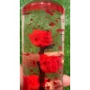 Unbranded 15cm JDM Clear All Red Glitter Real Rose Flower