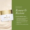 Borghese Roma Radiante Renew And Restore Night Creme ~ 1